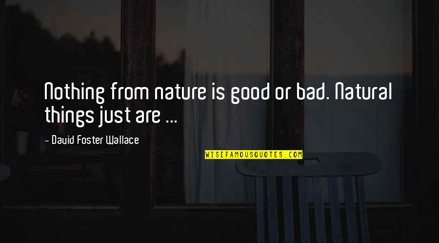 Weedon Quotes By David Foster Wallace: Nothing from nature is good or bad. Natural
