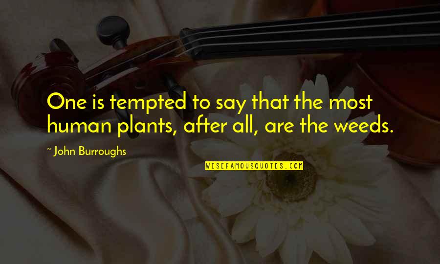 Weeds In The Garden Quotes By John Burroughs: One is tempted to say that the most