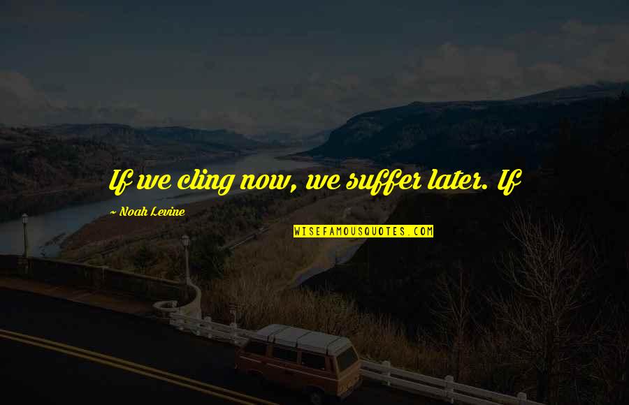 Weekday Inspiring Quotes By Noah Levine: If we cling now, we suffer later. If Weekday Inspiring Quotes By Noah Levine: If we cling now, we suffer later. If