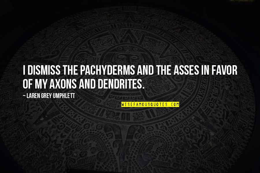 Weekly Encouragement Quotes By Laren Grey Umphlett: I dismiss the pachyderms and the asses in