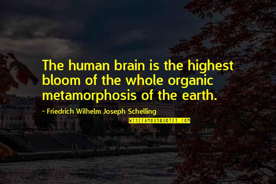 Weeknd One Of Those Nights Quotes By Friedrich Wilhelm Joseph Schelling: The human brain is the highest bloom of