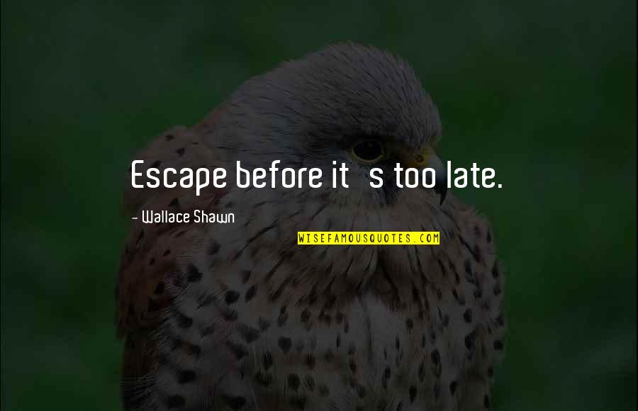 Weetman Cinderella Quotes By Wallace Shawn: Escape before it's too late.