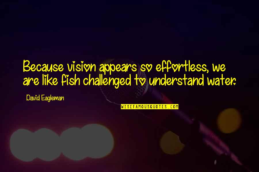 Weeweepads4less Quotes By David Eagleman: Because vision appears so effortless, we are like Weeweepads4less Quotes By David Eagleman: Because vision appears so effortless, we are like