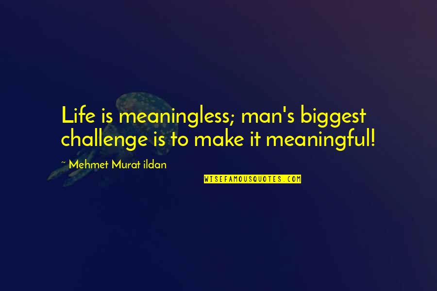 Wegscheider Cruses Theory Quotes By Mehmet Murat Ildan: Life is meaningless; man's biggest challenge is to