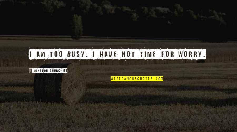 Weh Stanner Quotes By Winston Churchill: I am too busy. I have not time