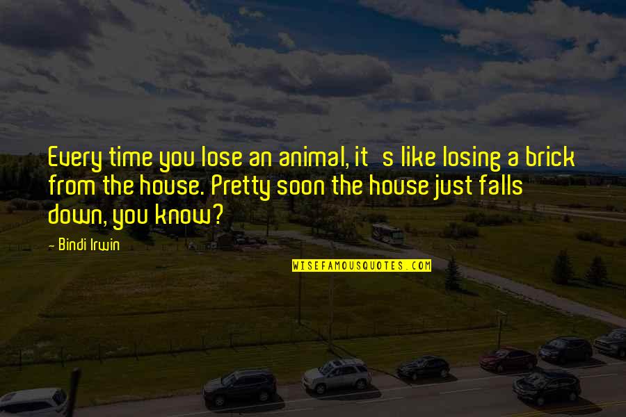 Wehbe Qatisha Quotes By Bindi Irwin: Every time you lose an animal, it's like Wehbe Qatisha Quotes By Bindi Irwin: Every time you lose an animal, it's like