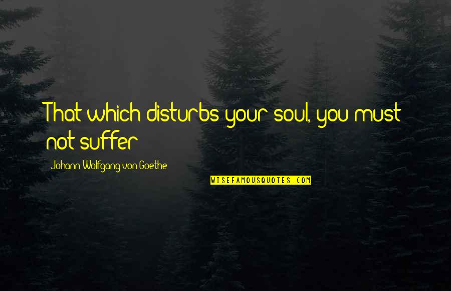 Wehners School Quotes By Johann Wolfgang Von Goethe: That which disturbs your soul, you must not Wehners School Quotes By Johann Wolfgang Von Goethe: That which disturbs your soul, you must not