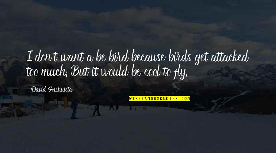 Weidenbach Ranch Quotes By David Archuleta: I don't want a be bird because birds