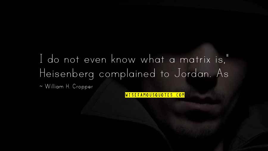 Weigher Chinese Quotes By William H. Cropper: I do not even know what a matrix Weigher Chinese Quotes By William H. Cropper: I do not even know what a matrix