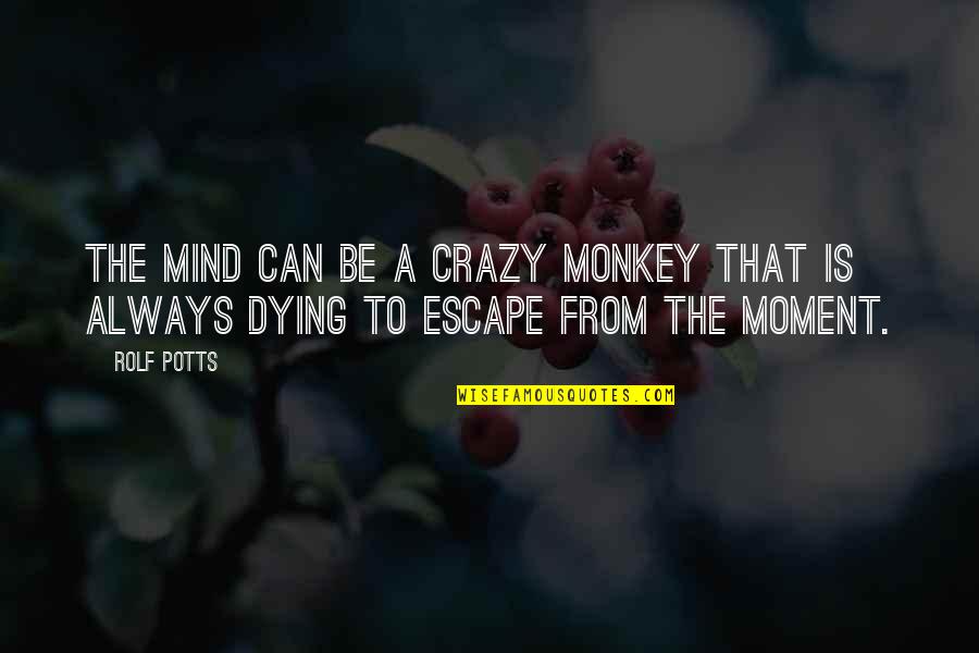 Weight Increase Quotes By Rolf Potts: The mind can be a crazy monkey that