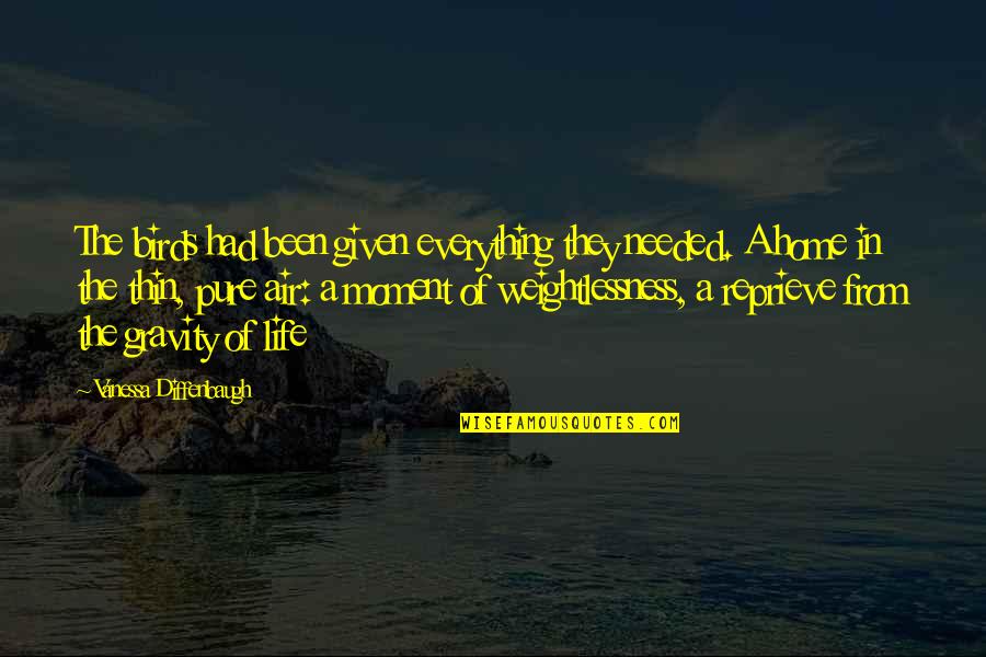 Weightlessness Quotes By Vanessa Diffenbaugh: The birds had been given everything they needed.