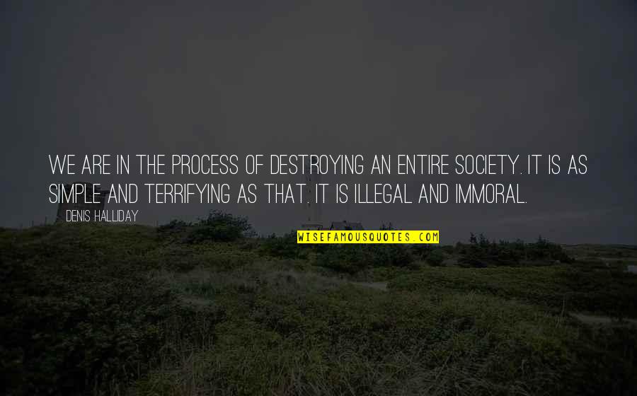 Weighty Ghost Quotes By Denis Halliday: We are in the process of destroying an