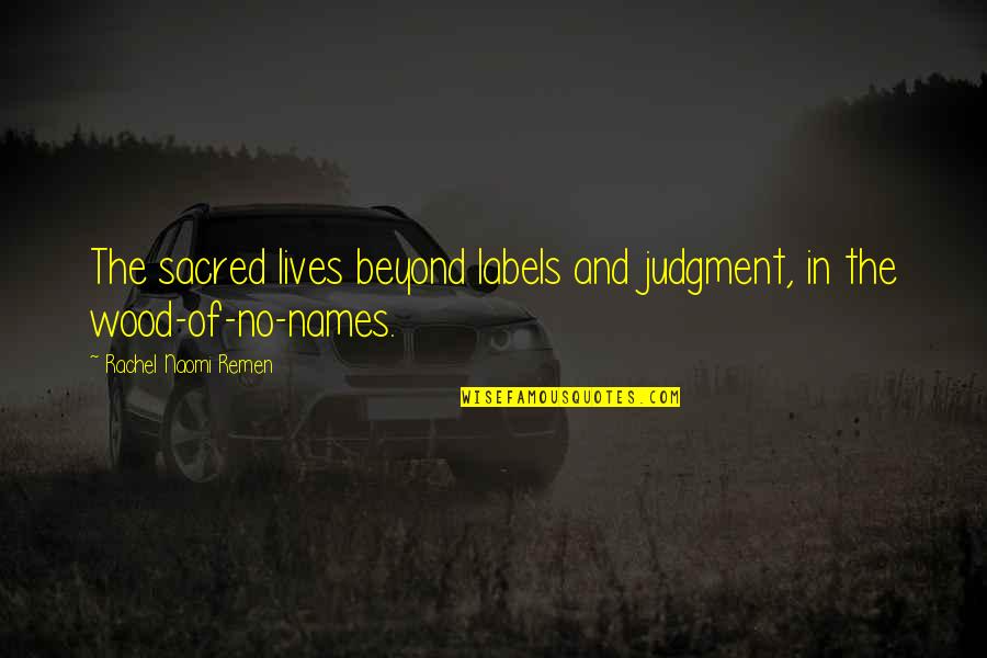 Weimaraner Dogs Quotes By Rachel Naomi Remen: The sacred lives beyond labels and judgment, in Weimaraner Dogs Quotes By Rachel Naomi Remen: The sacred lives beyond labels and judgment, in
