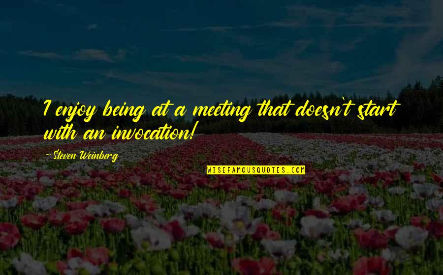 Weinberg Quotes By Steven Weinberg: I enjoy being at a meeting that doesn't