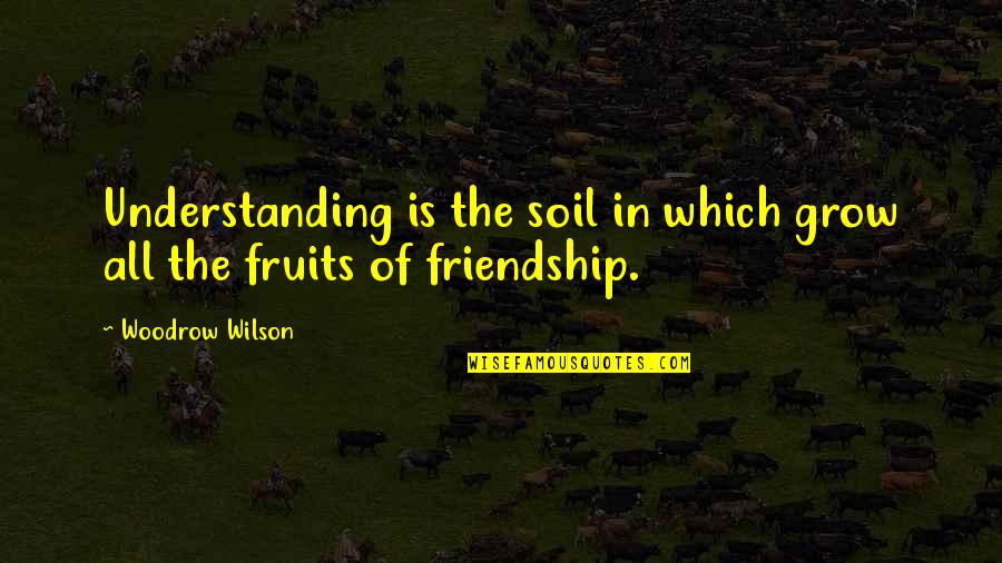 Weird Dreams Quotes By Woodrow Wilson: Understanding is the soil in which grow all
