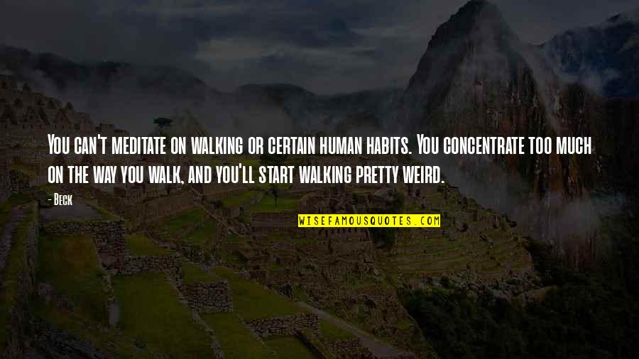 Weird Habits Quotes By Beck: You can't meditate on walking or certain human Weird Habits Quotes By Beck: You can't meditate on walking or certain human