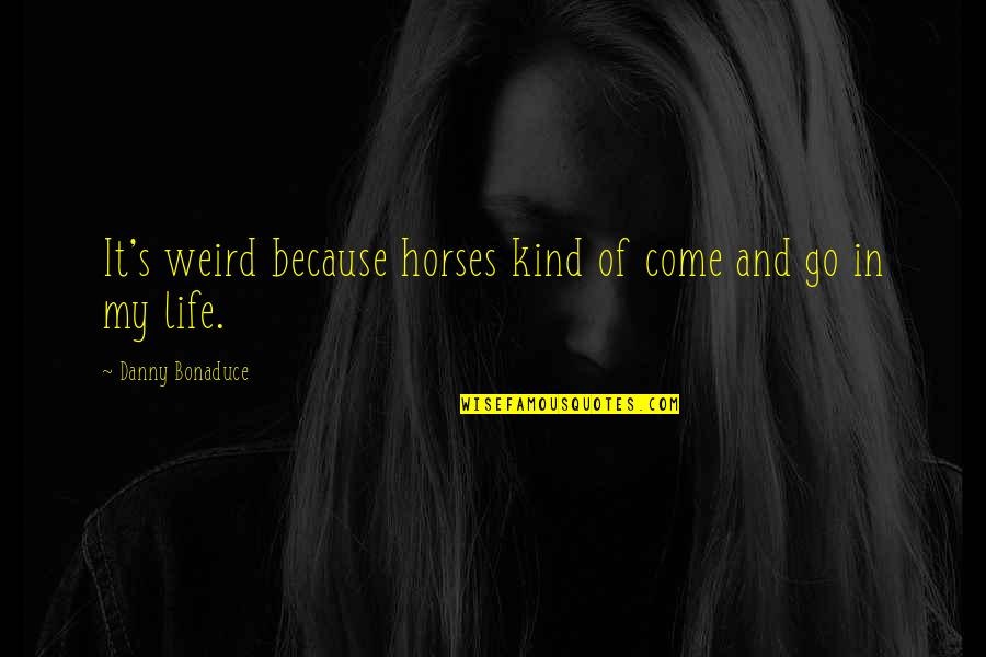 Weird Life Quotes By Danny Bonaduce: It's weird because horses kind of come and Weird Life Quotes By Danny Bonaduce: It's weird because horses kind of come and