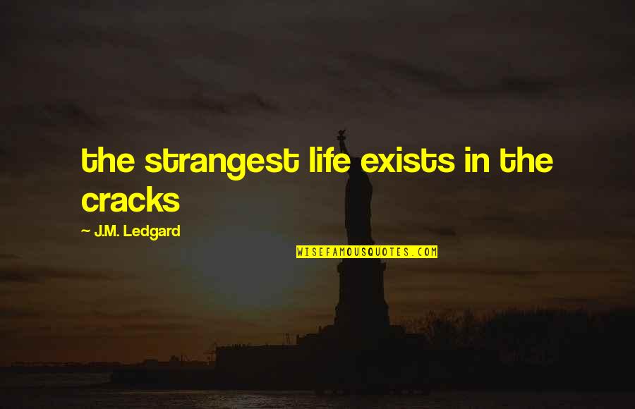 Weird Life Quotes By J.M. Ledgard: the strangest life exists in the cracks Weird Life Quotes By J.M. Ledgard: the strangest life exists in the cracks