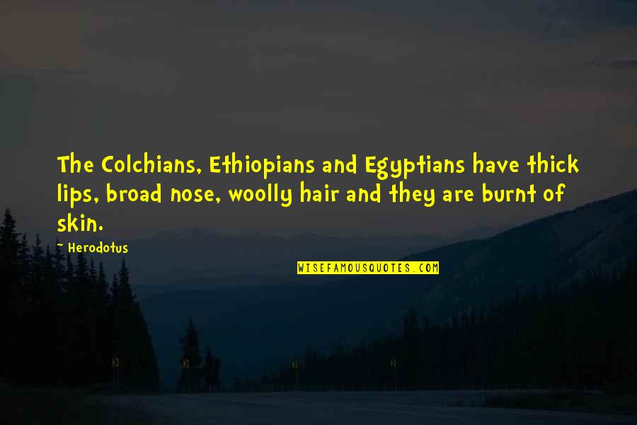 Weird Phrases Quotes By Herodotus: The Colchians, Ethiopians and Egyptians have thick lips, Weird Phrases Quotes By Herodotus: The Colchians, Ethiopians and Egyptians have thick lips,