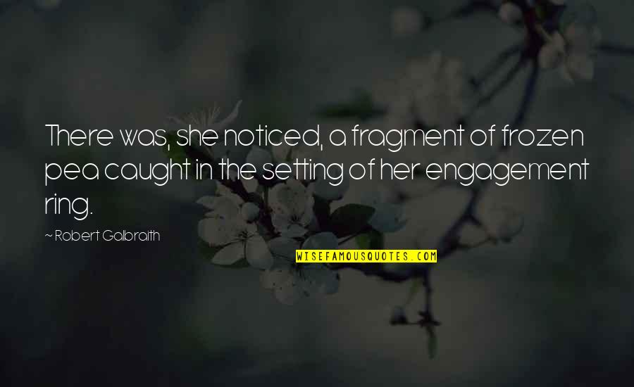 Weirdest Australian Quotes By Robert Galbraith: There was, she noticed, a fragment of frozen