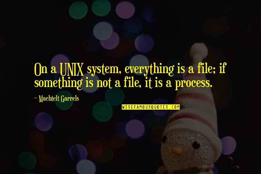 Weiskittel Quincy Quotes By Machtelt Garrels: On a UNIX system, everything is a file;