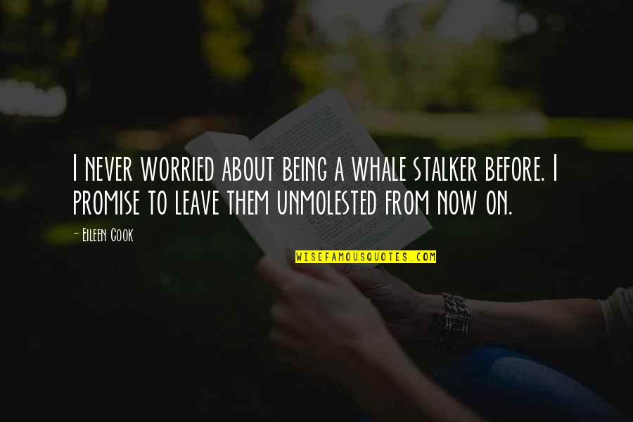 Weissenberger Bei Quotes By Eileen Cook: I never worried about being a whale stalker Weissenberger Bei Quotes By Eileen Cook: I never worried about being a whale stalker