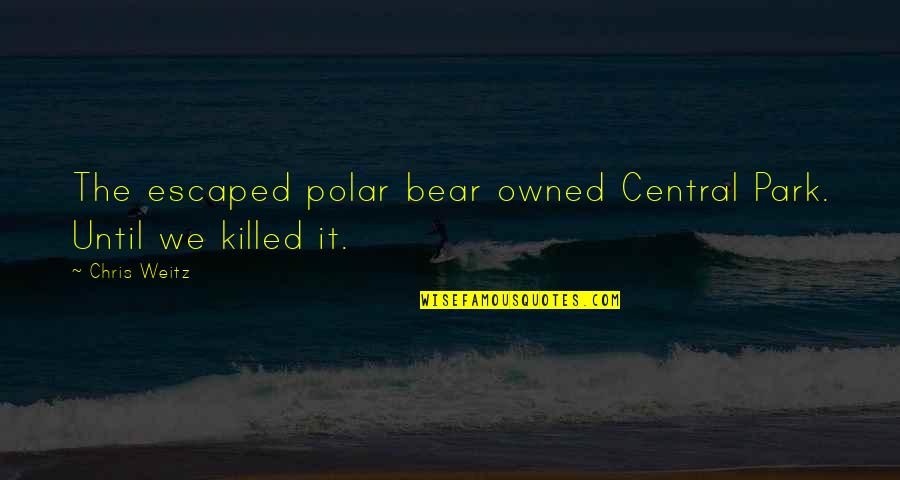Weitz's Quotes By Chris Weitz: The escaped polar bear owned Central Park. Until