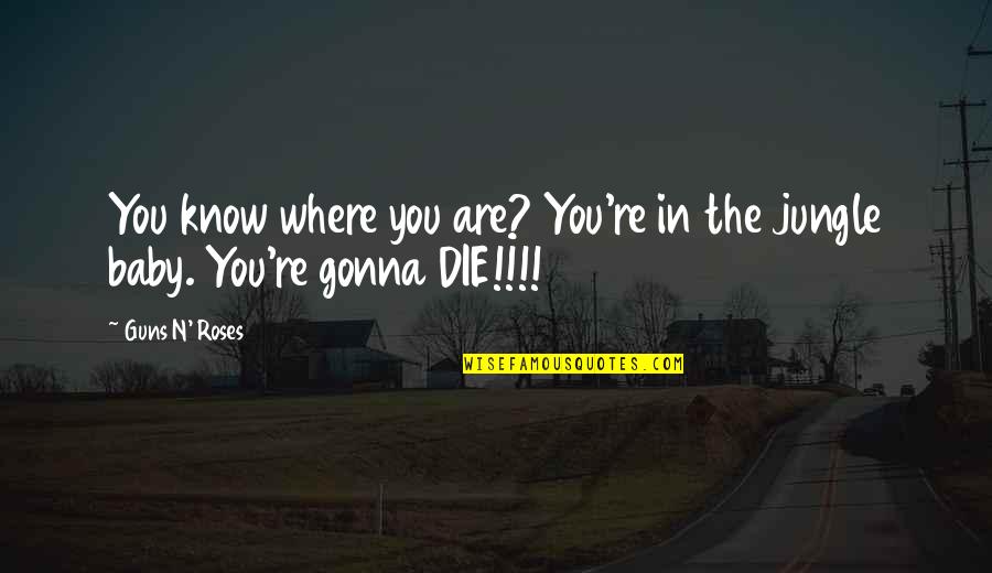Welcome A Baby Quotes By Guns N' Roses: You know where you are? You're in the