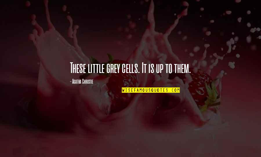 Welcome Baby Funny Quotes By Agatha Christie: These little grey cells. It is up to