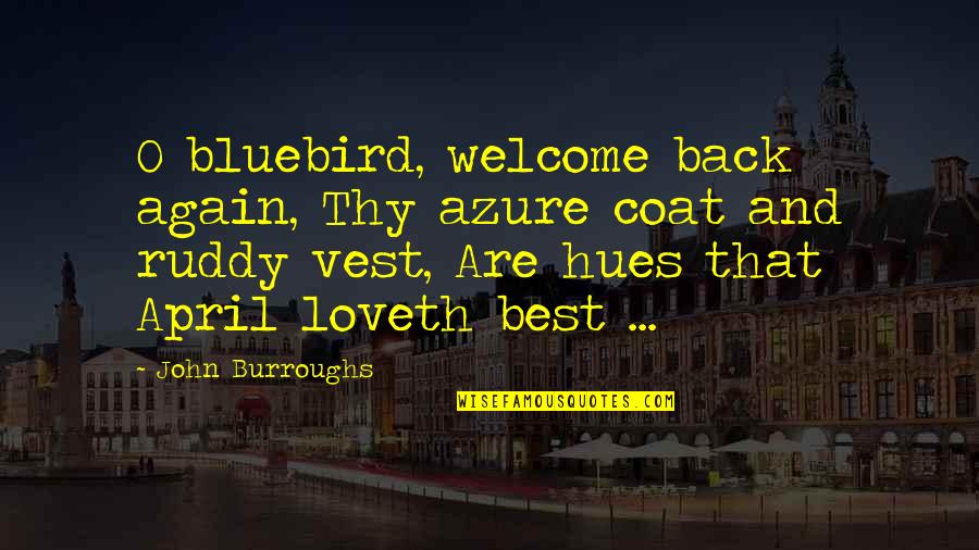 Welcome Back Again Quotes By John Burroughs: O bluebird, welcome back again, Thy azure coat