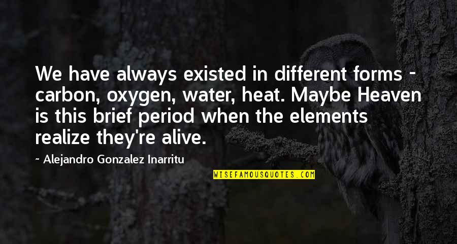 Welcome Back Positive Quotes By Alejandro Gonzalez Inarritu: We have always existed in different forms - Welcome Back Positive Quotes By Alejandro Gonzalez Inarritu: We have always existed in different forms -