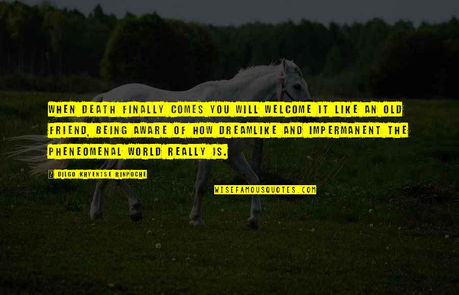 Welcome Death Quotes By Dilgo Khyentse Rinpoche: When death finally comes you will welcome it Welcome Death Quotes By Dilgo Khyentse Rinpoche: When death finally comes you will welcome it