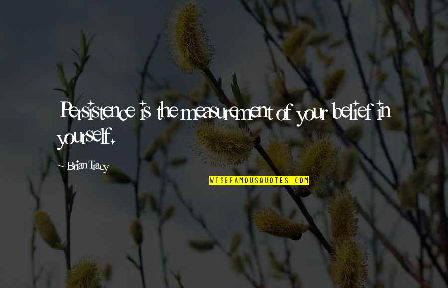 Welcome December Funny Quotes By Brian Tracy: Persistence is the measurement of your belief in