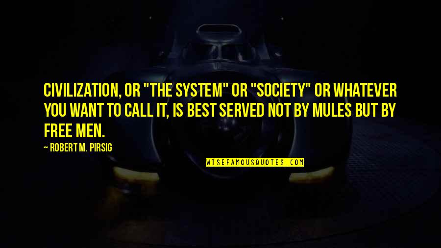 Welcome Home Roscoe Jenkins Quotes By Robert M. Pirsig: Civilization, or "the system" or "society" or whatever