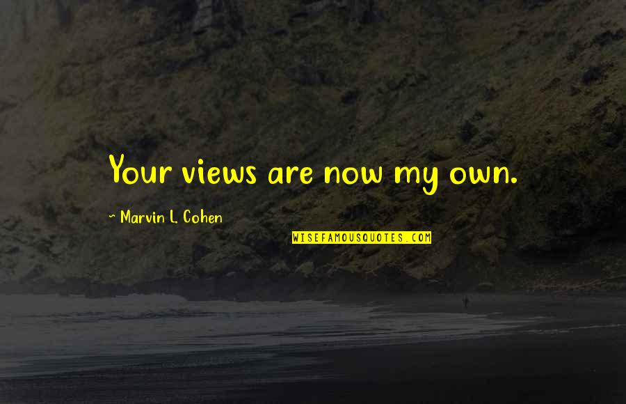Welcome To Business Quotes By Marvin L. Cohen: Your views are now my own.