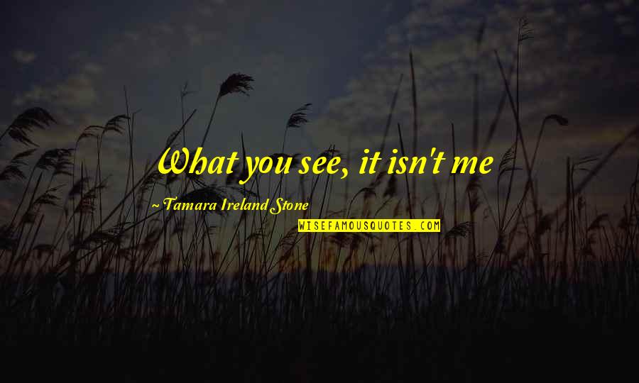 Welcome To Punjab Quotes By Tamara Ireland Stone: What you see, it isn't me Welcome To Punjab Quotes By Tamara Ireland Stone: What you see, it isn't me