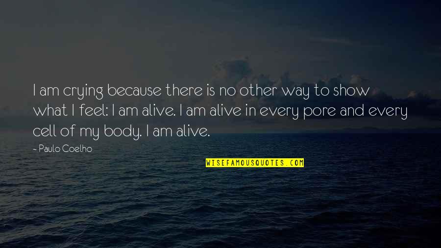 Welcome To Social Media Quotes By Paulo Coelho: I am crying because there is no other Welcome To Social Media Quotes By Paulo Coelho: I am crying because there is no other