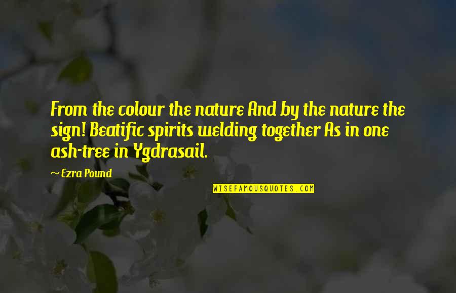 Welding's Quotes By Ezra Pound: From the colour the nature And by the