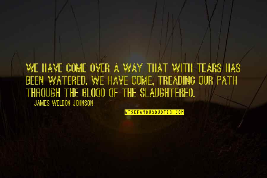 Weldon Johnson Quotes By James Weldon Johnson: We have come over a way that with