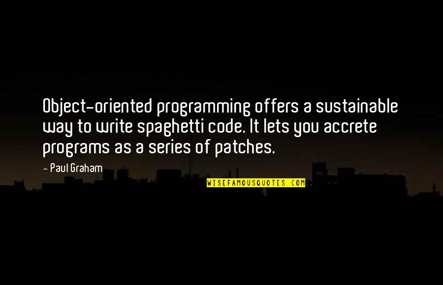 Welfare Reform Quotes By Paul Graham: Object-oriented programming offers a sustainable way to write