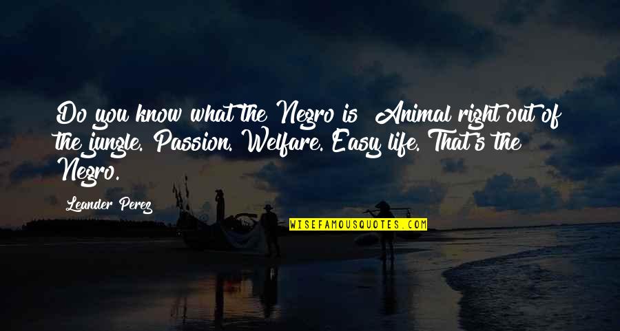 Welfare's Quotes By Leander Perez: Do you know what the Negro is? Animal Welfare's Quotes By Leander Perez: Do you know what the Negro is? Animal
