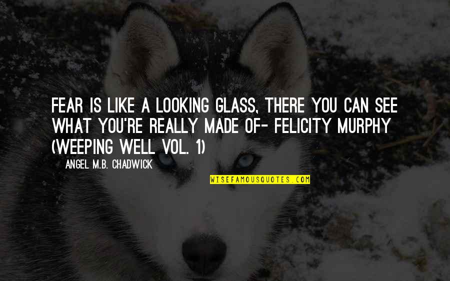 Well 1 Quotes By Angel M.B. Chadwick: Fear is like a looking glass, there you Well 1 Quotes By Angel M.B. Chadwick: Fear is like a looking glass, there you