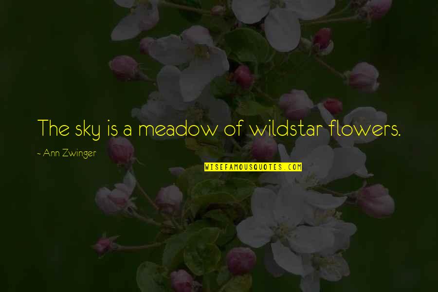 Well Done Picture Quotes By Ann Zwinger: The sky is a meadow of wildstar flowers. Well Done Picture Quotes By Ann Zwinger: The sky is a meadow of wildstar flowers.