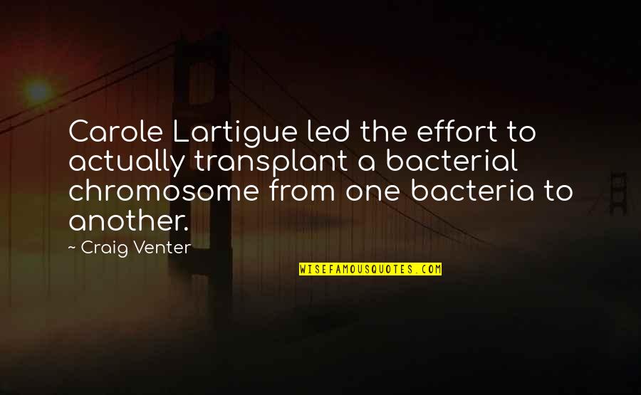Well Done Wishes Quotes By Craig Venter: Carole Lartigue led the effort to actually transplant Well Done Wishes Quotes By Craig Venter: Carole Lartigue led the effort to actually transplant