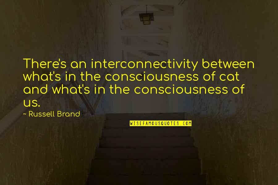 Well Kept Woman Quotes By Russell Brand: There's an interconnectivity between what's in the consciousness