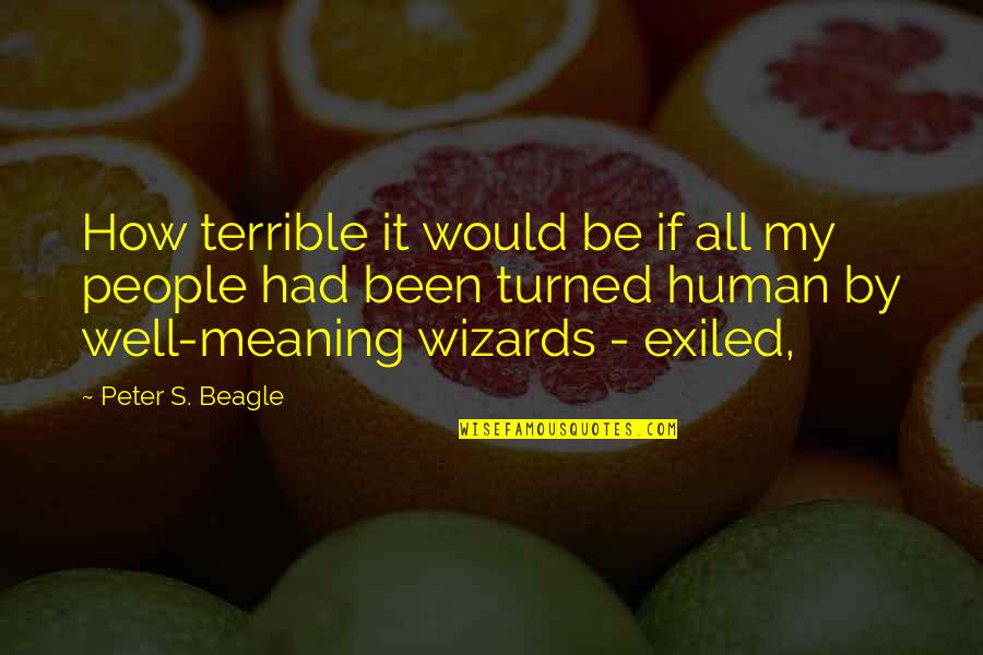 Well Meaning Quotes By Peter S. Beagle: How terrible it would be if all my
