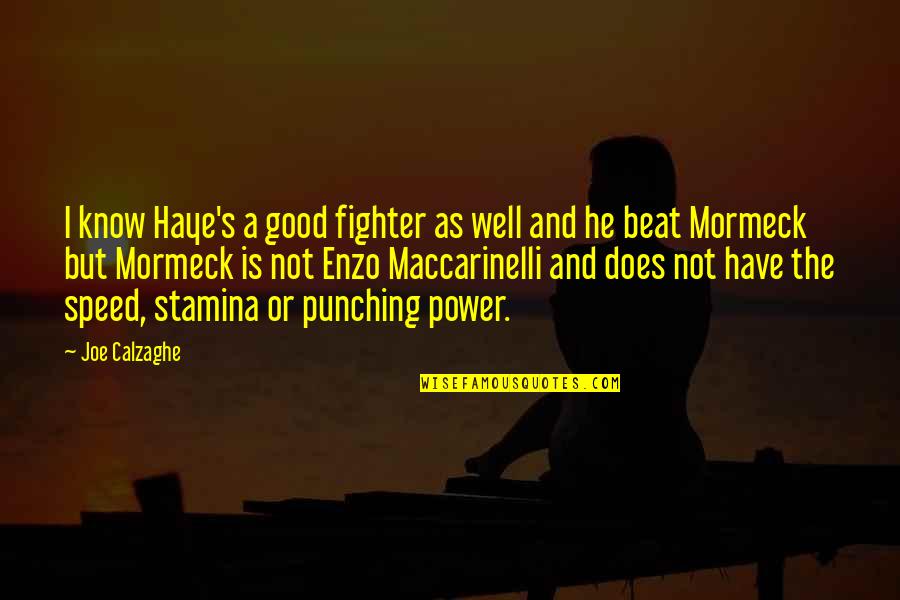 Well Power Quotes By Joe Calzaghe: I know Haye's a good fighter as well Well Power Quotes By Joe Calzaghe: I know Haye's a good fighter as well