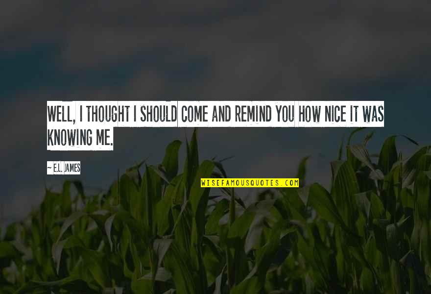 Well Thought Quotes By E.L. James: Well, I thought I should come and remind