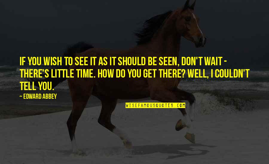Well Wish Quotes By Edward Abbey: If you wish to see it as it