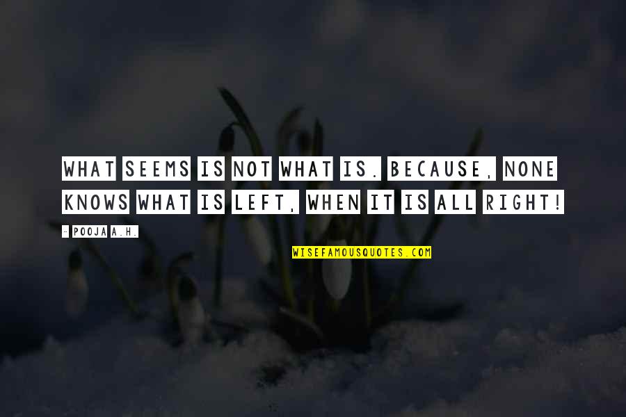 Wellborn Quotes By Pooja A.H.: What seems is not what is. Because, none